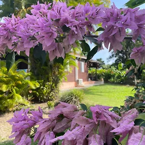  Landhaus Eden Creole Guadeloupe